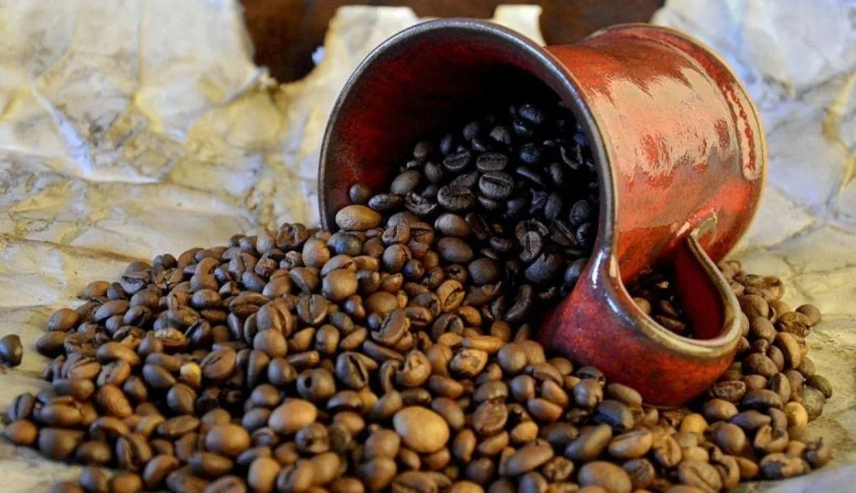 Kopi Solok Radjo, Kopi Arabika Sumatera Barat dengan Cita Rasa Khas dari Lereng Solok
